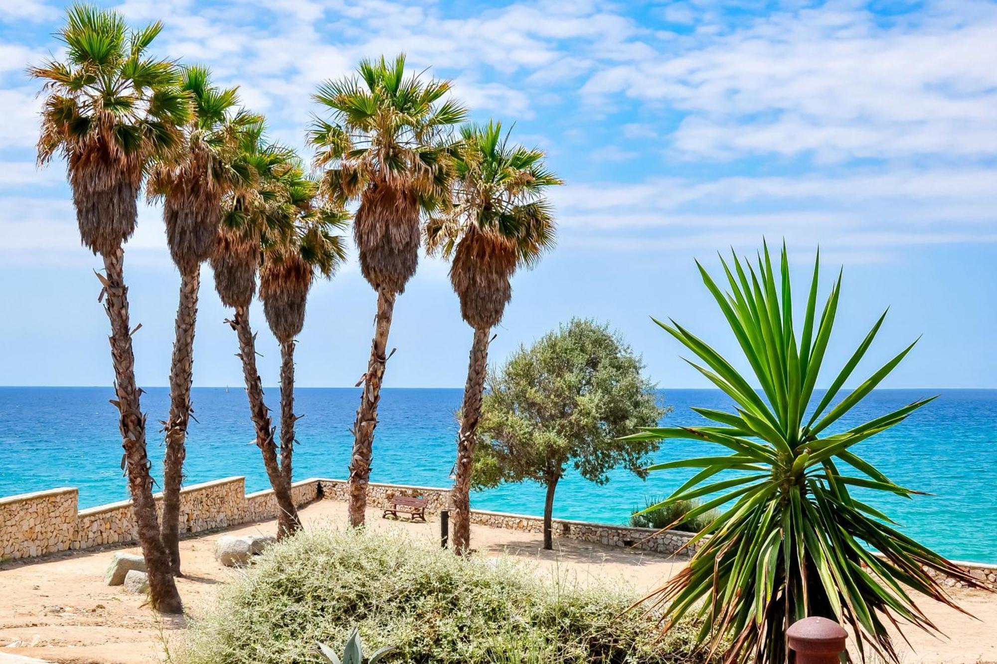 Mediterranean Way - Sant Domenec * Tarragone